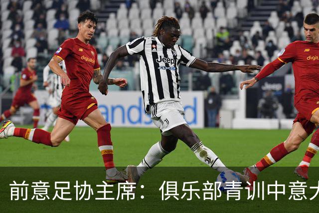 前意足协主席：俱乐部青训中意大利人只有30% 意大利本该进世界杯